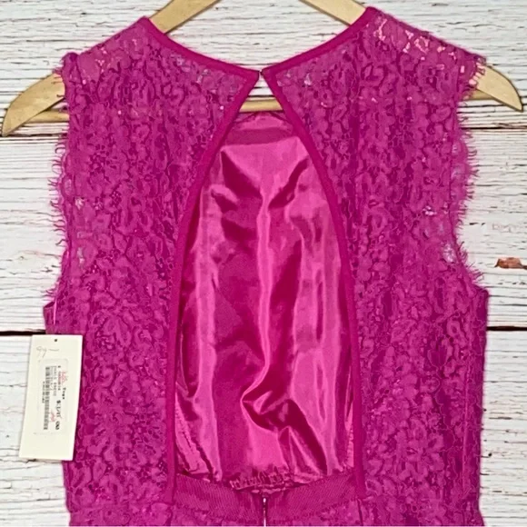 NWT Shoshanna Paris Lace Fit and Flare Dress in Hot Pink Sz 2